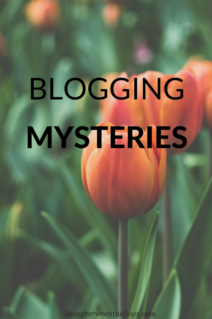 After a few months, there are some things I just can't understand about blogging.