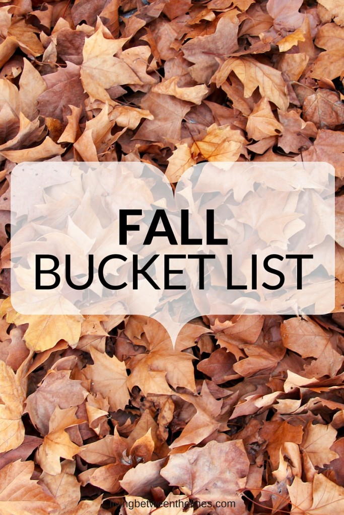 Make the most of the season with this list of can't-miss fall activities!